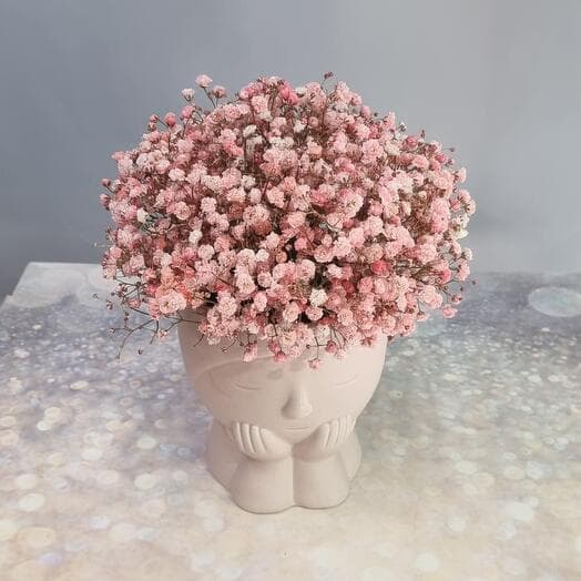Gypsophyla magnificent in the original casop