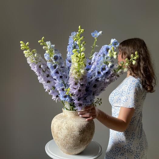 Blue Dolphinium for the interior