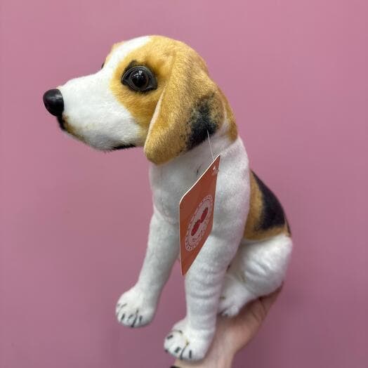 Soft toy dog