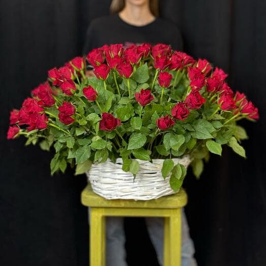 101 rose (Kenya) in the basket