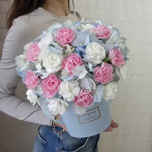 Flowers in the box. Blue hydrangea with bush diatus