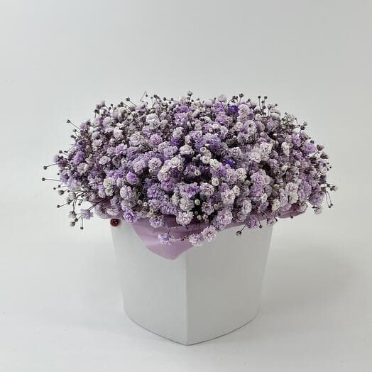 Lavender gypsophila in the amor box in the form of a heart