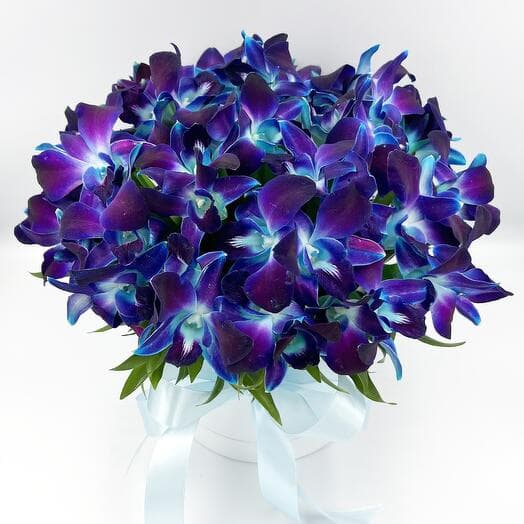 Space orchids in a hat box. Bouquet 277 Almond Roses