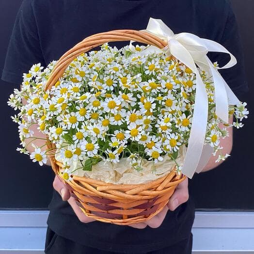 Korzinka of daisies🌼