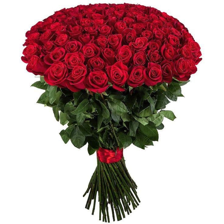Букет из 101 розы для незабываемого подарка 🌹
