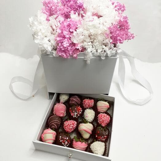 Casket - Surprise "Coketa"