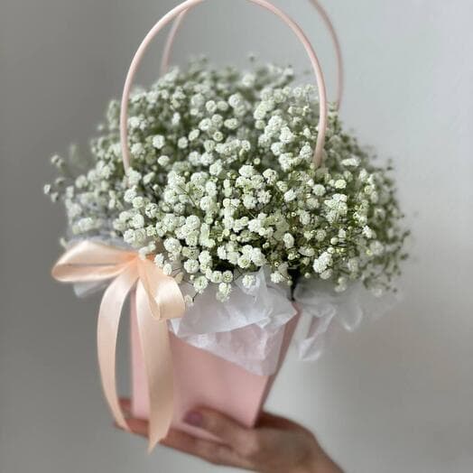 Gypsophyla in a purse