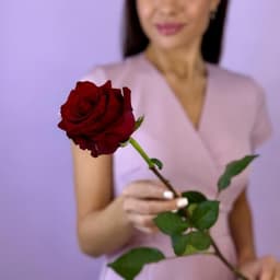 Rosa velvet Exploer0