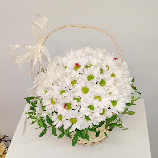 Bakardi flowers basket