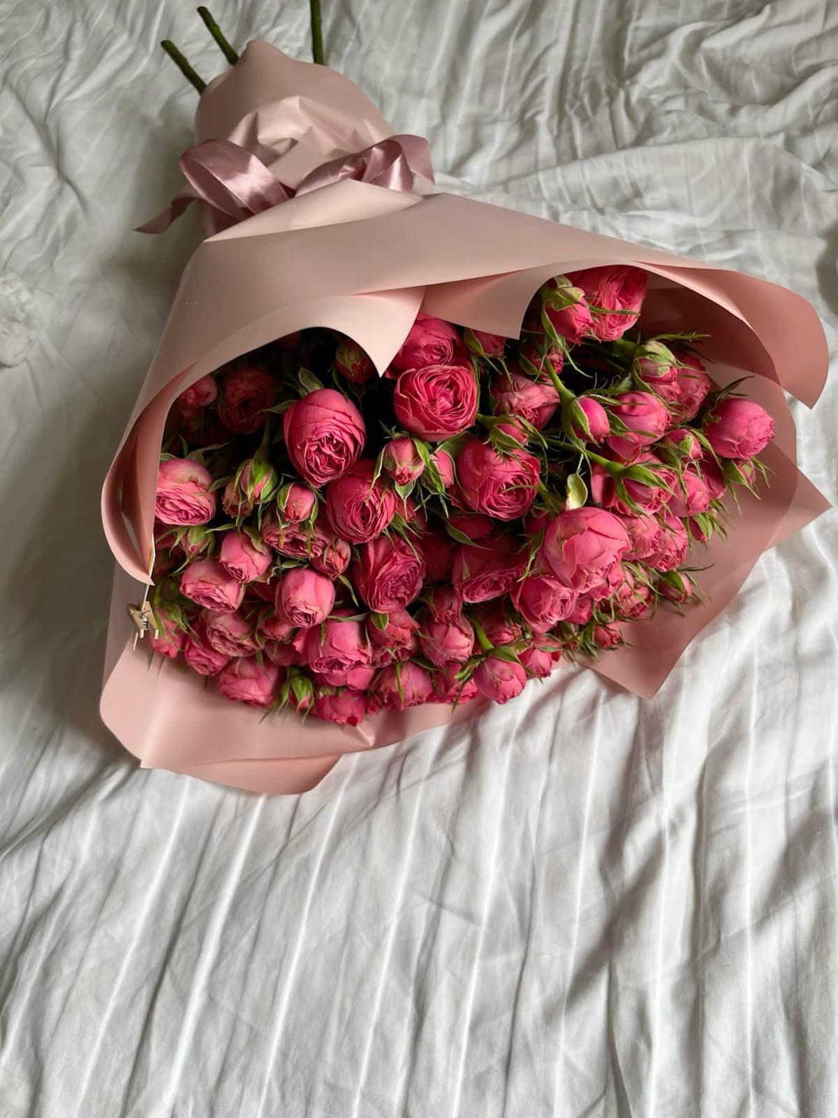 51 Pink Roses 50 cm Premium 🌸