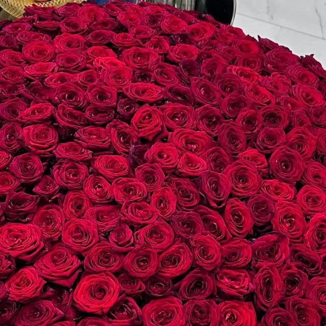 Bouquet of 1001 roses for true connoisseurs 🌹