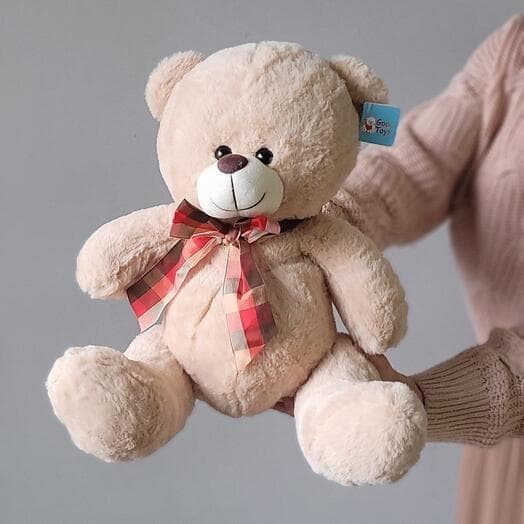 Plush bear with a checkered bow