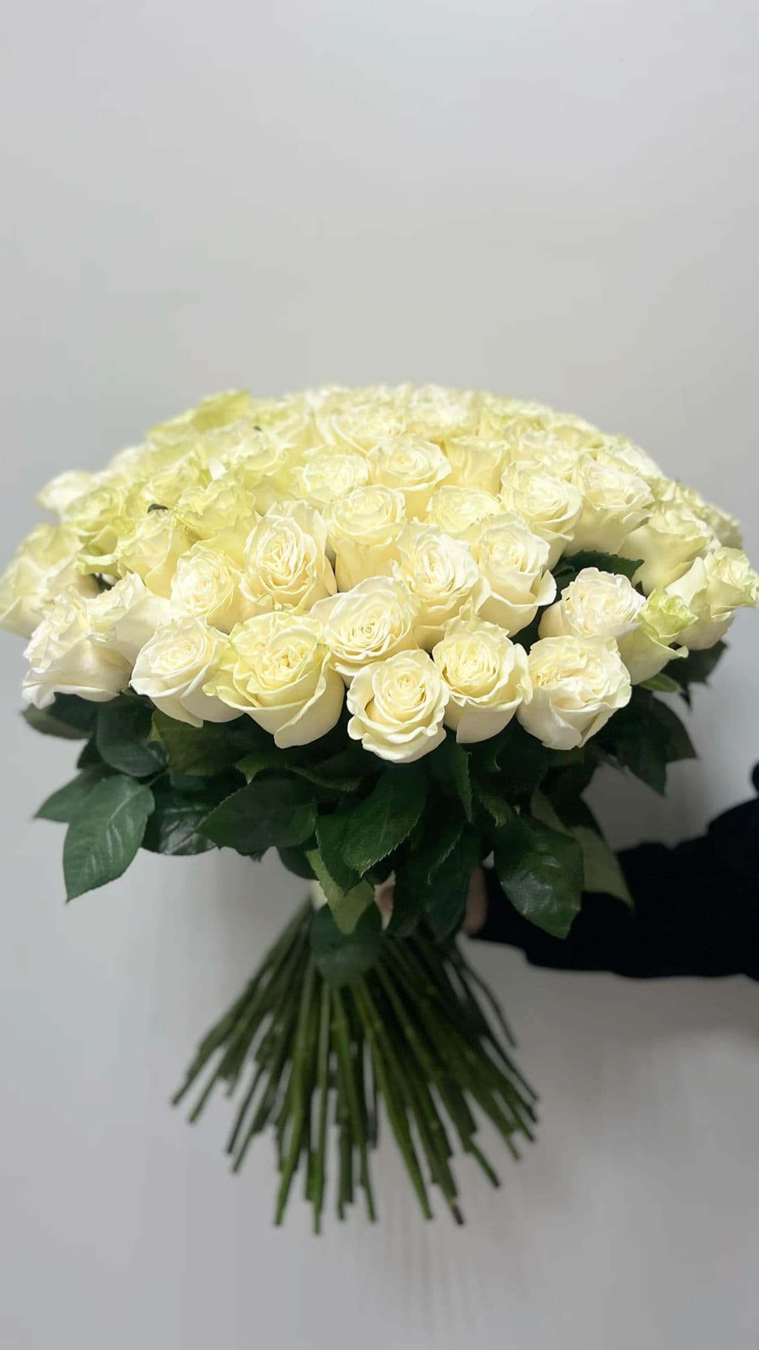 101 White Roses Exquisite
