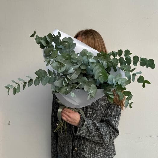 Fragrant eucalyptus