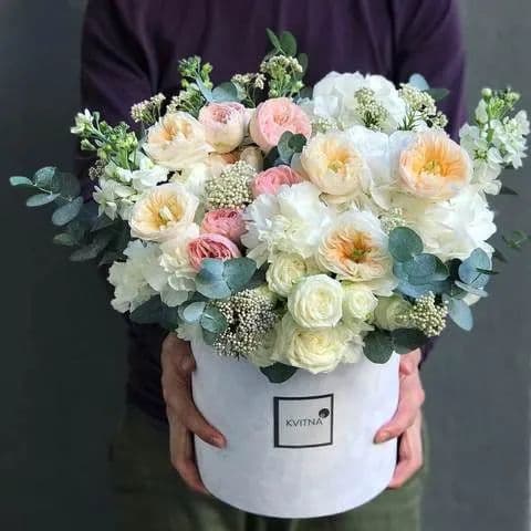 Cozy flower box 🏡🌼