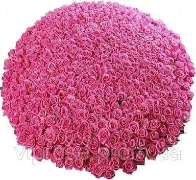Bouquet of 1001 roses for true connoisseurs 🌹