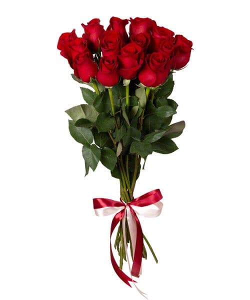 31 red roses