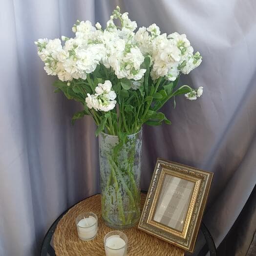 Bouquet for a house of 9 fragrant matioles with a ribbon