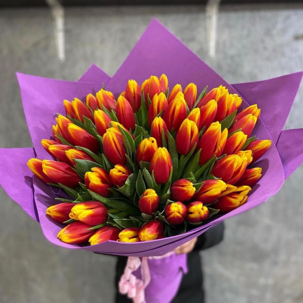 51 tulip