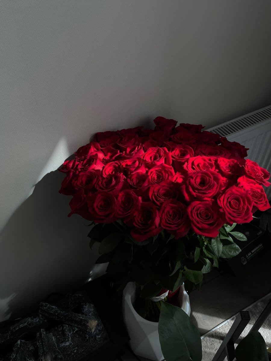 1001 Red Roses Gorgeous 🌹🌟