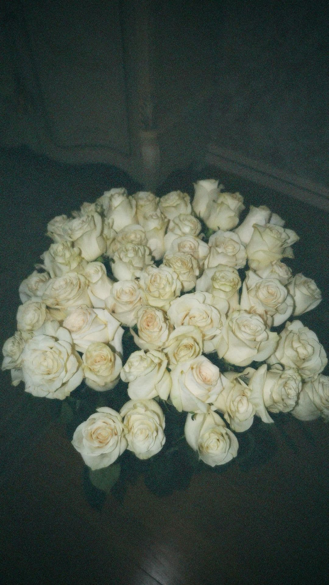 51 розы белые шикарные