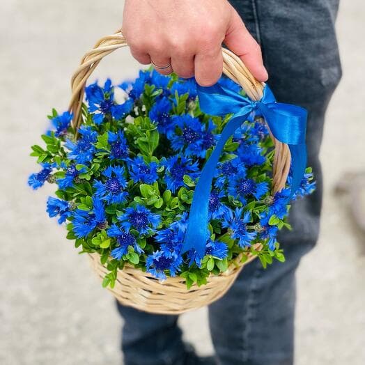 Basket of Vasilkov