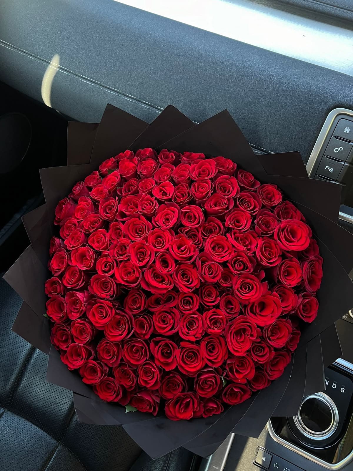 25 красных роз премиум 🌹