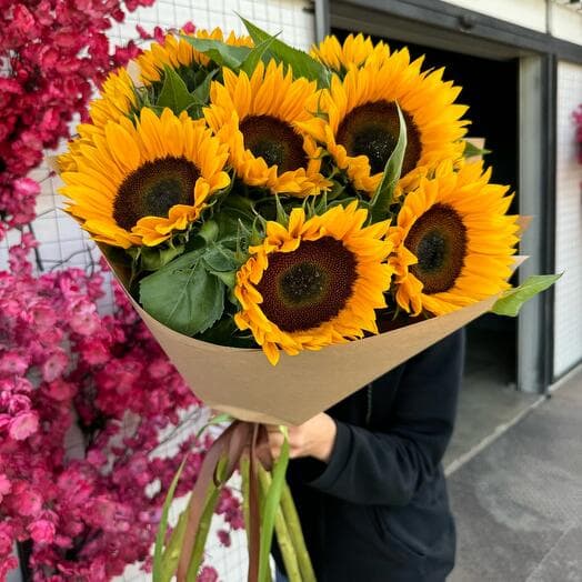 Sunflower 🌻