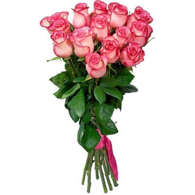 15 roses