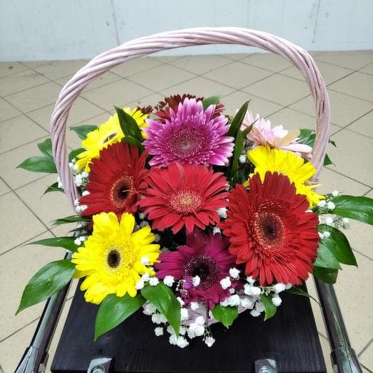 Basket with Herbera
