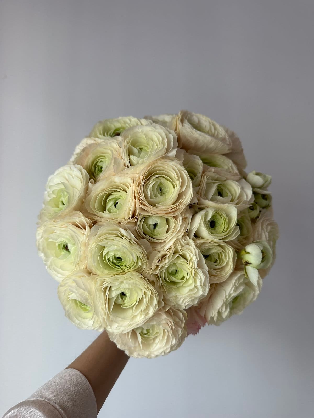 Tender mono bouquet 🌹