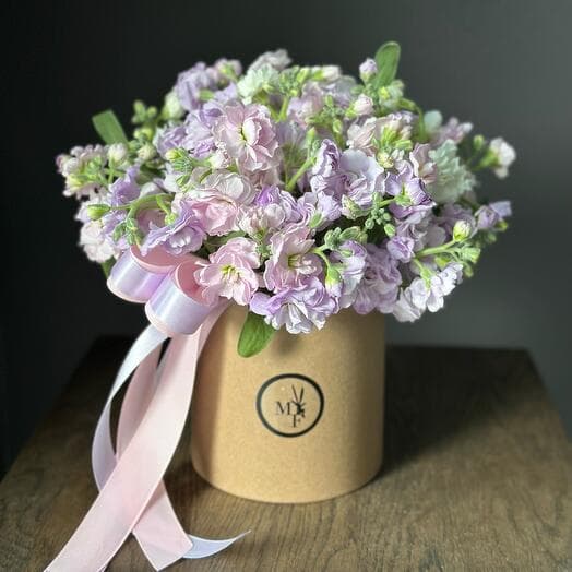 Box with fragrant mattiola💜