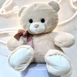 Soft toy "Bear Mark"0