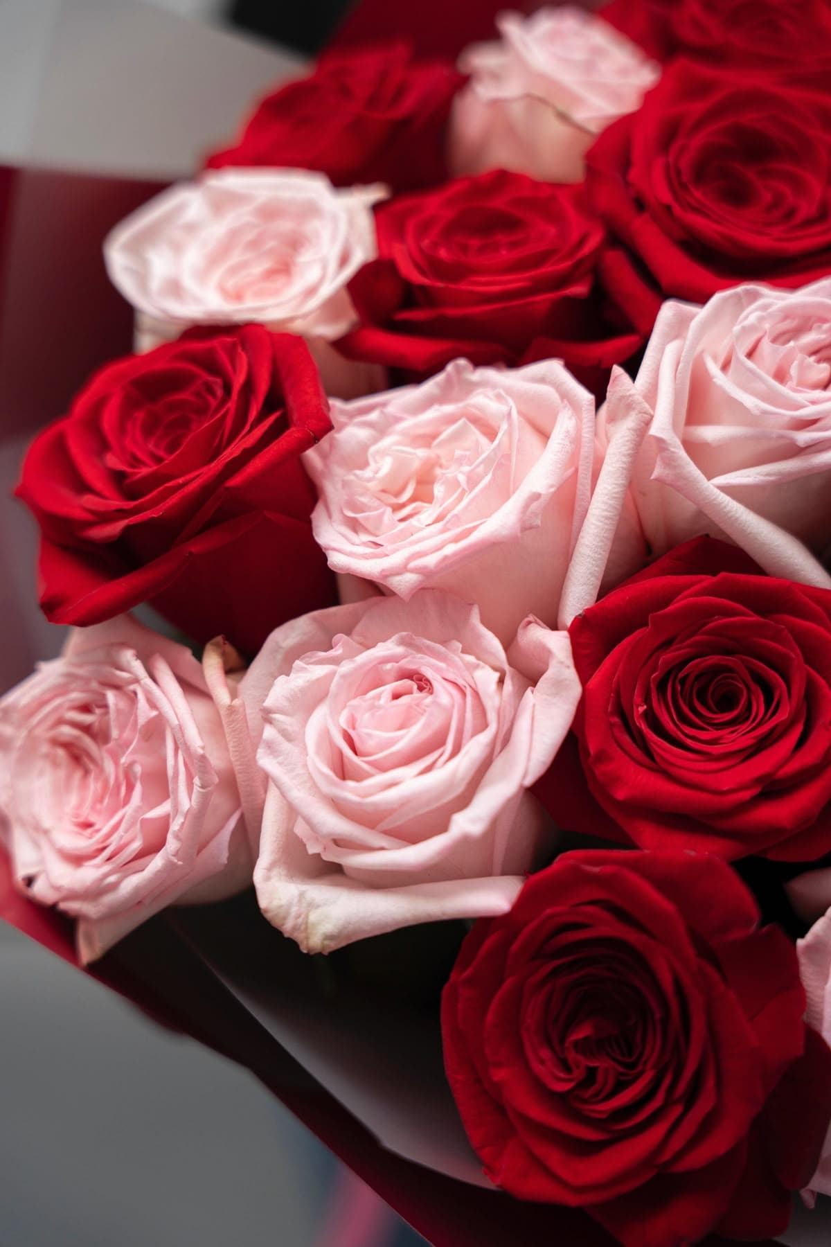 25 розовых роз 50 см идеальных 💐