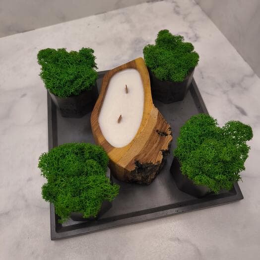 Set "Forest Respue"