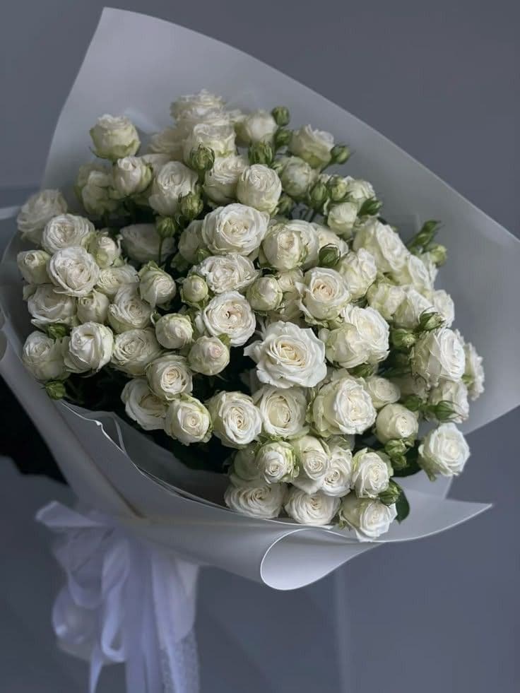 101 White Roses Premium