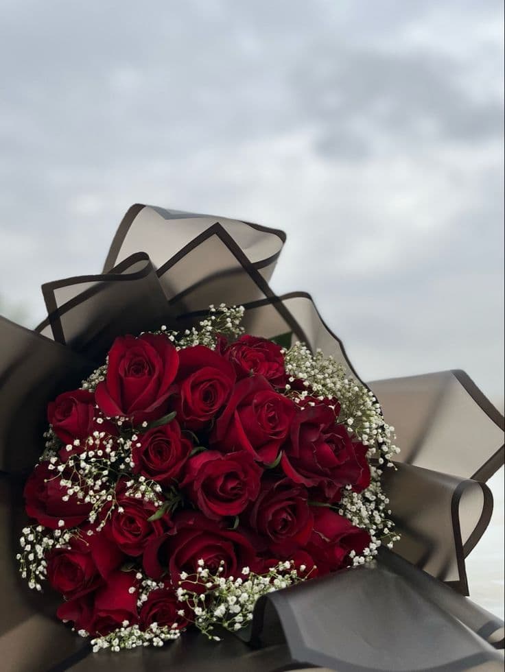 25 Red Roses Luxurious 💎