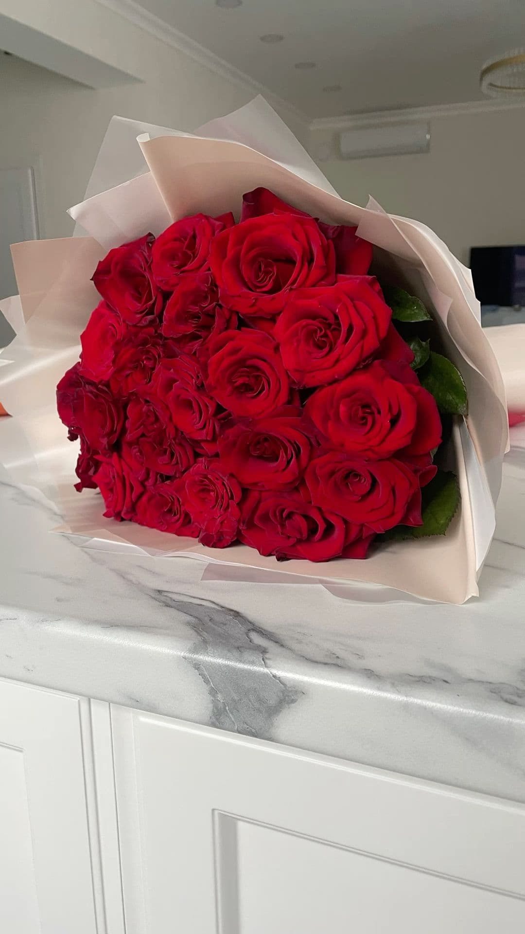 101 Red Roses Exquisite 🌹🌸
