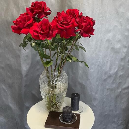 Red French rose