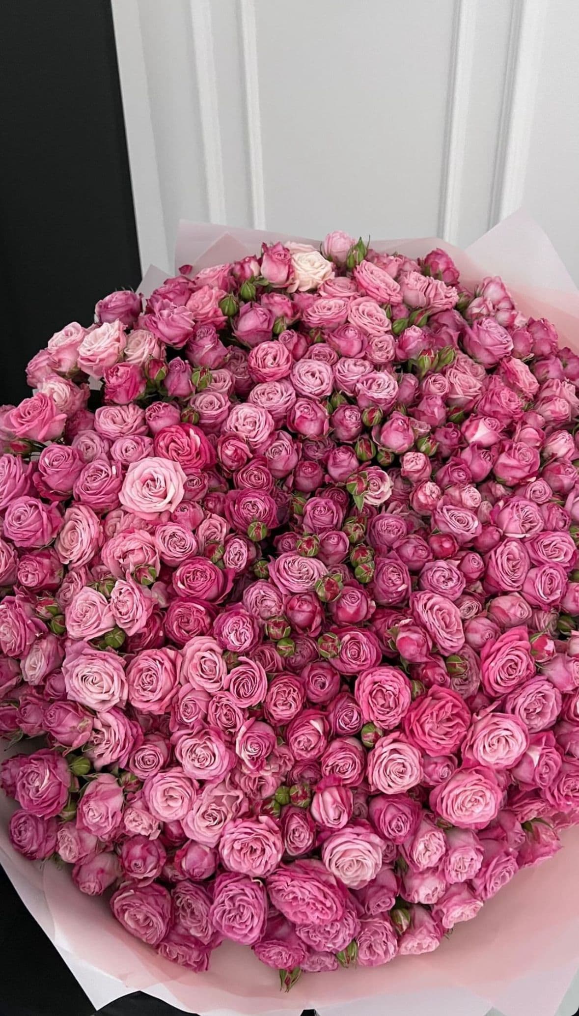 Magnificent bouquet of 1001 roses 🌹