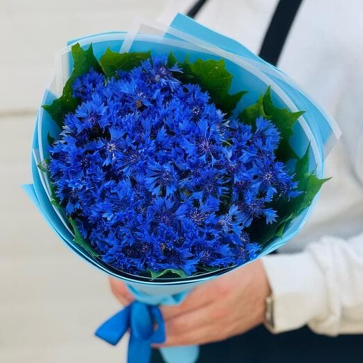 Basilka. A bouquet of field cornflower cranks