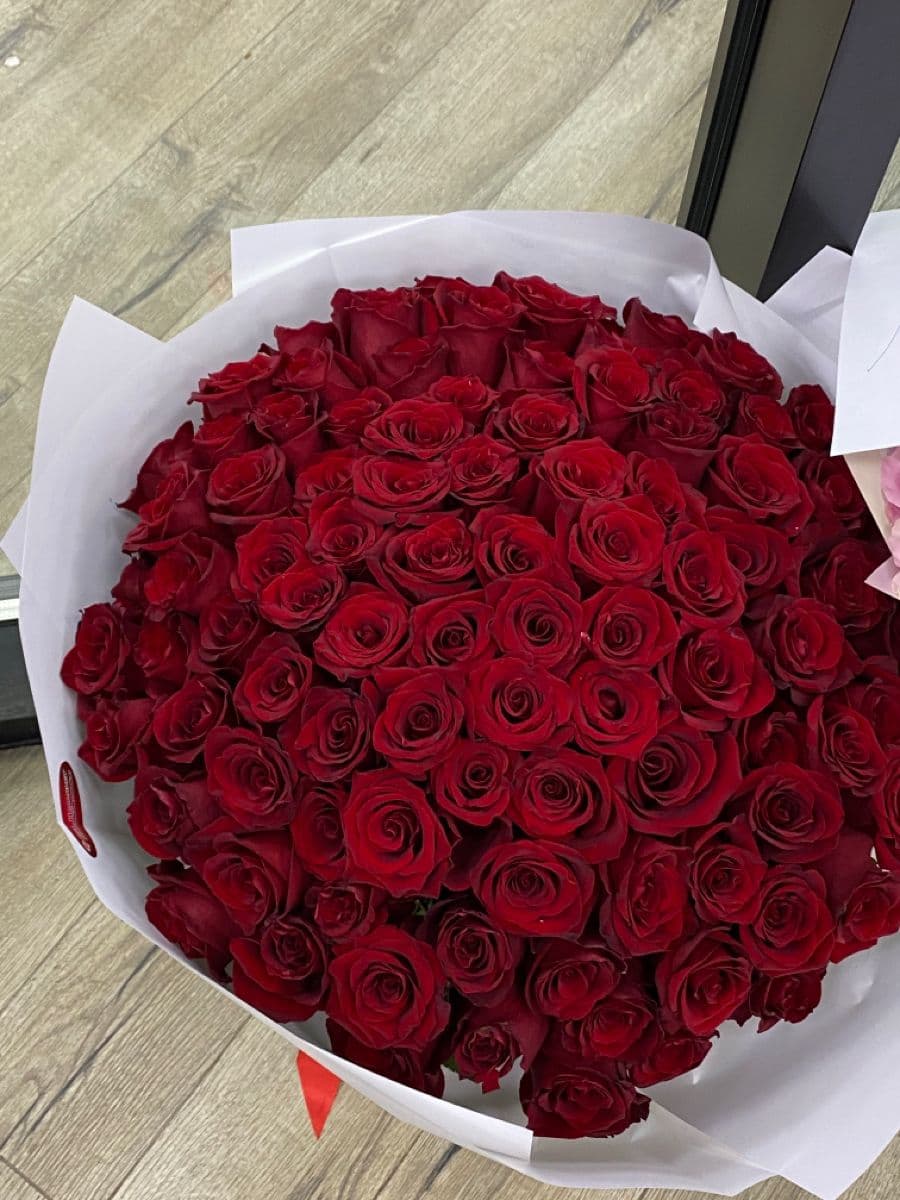 1001 Red Roses Majestic 💖🌹