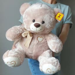 The teddy bear is plush0