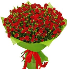 25 кустовых роз0