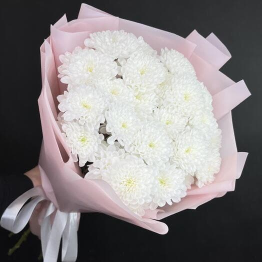 Lucy Monobuk from Altai bush chrysanthemum