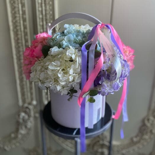 Hydrangea box