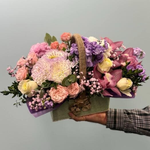 The composition "Dolce Vita"