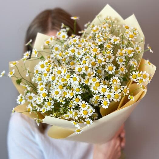 Mono bouquet of chamomile (11pcs)