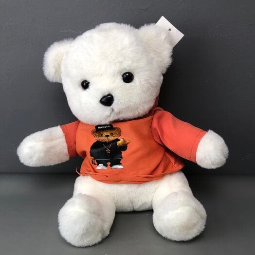Bear in a sweater with a hood