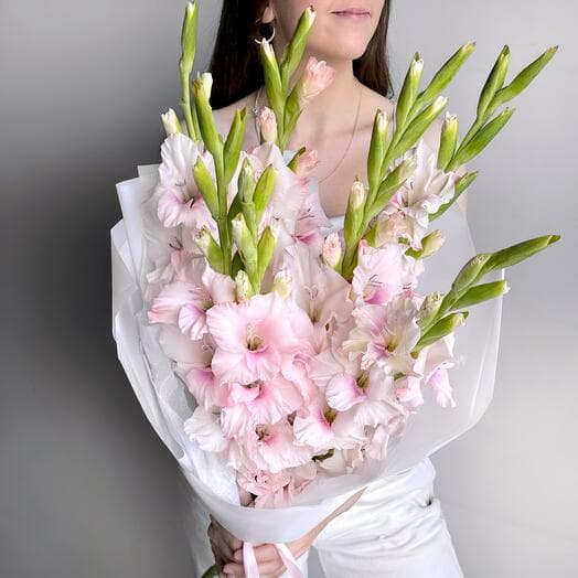 Нежный букет розовый гладиолус (121)